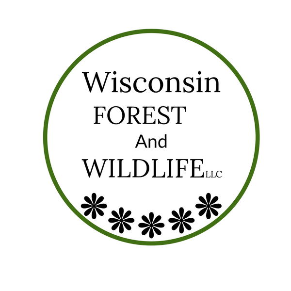 Wisconsin Forest and Wildlife LLC